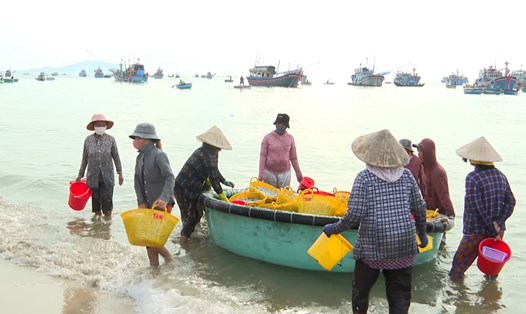 Những người phụ nữ khuân vác các giỏ cá từ tàu thuyền để mưu sinh ở cảng cá tại Mũi Né, tỉnh Lâm Đồng. Ảnh: Duy Tuấn