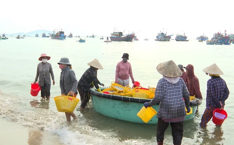 Women move fish baskets from boats to make a living at the fishing port in Mui Ne, Lam Dong province. Photo: Duy Tuan