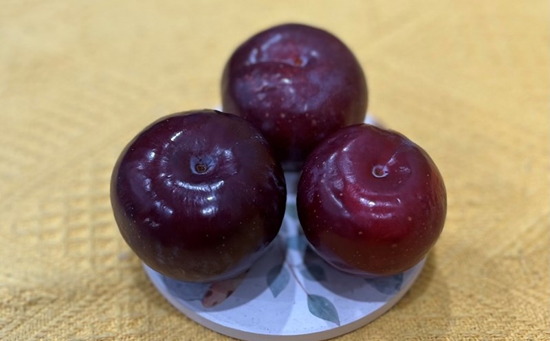Plum is said to be able to naturally stabilize blood sugar. Photo: Kieu Vu