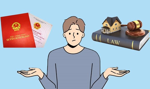 Bộ Nông nghiệp và Môi trường lý giải chữ "T" trong sổ đỏ. Đồ họa: Phương Thảo