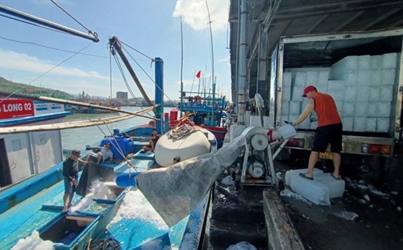 Khanh Hoa controla las actividades de los barcos pesqueros para unir fuerzas para eliminar las tarjetas amarillas de la CE. Foto: Binh Quy