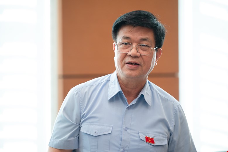 Dai bieu Do Ngoc Thinh (Doan Khanh Hoa). Anh: Quochoi.vn