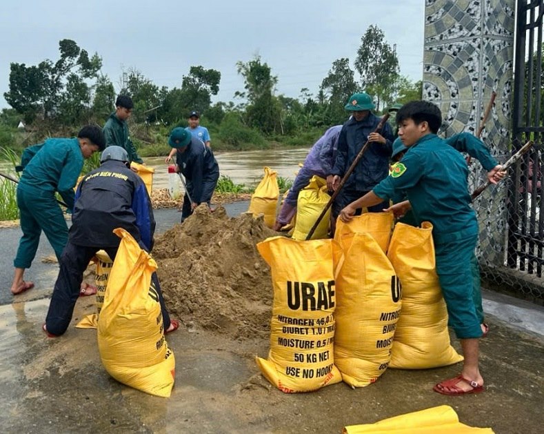 The military command of Tra Cau ward, Quang Ngai province mobilized forces to build dykes to prevent salinity and prevent storm No. 12. Photo: Quoc Le