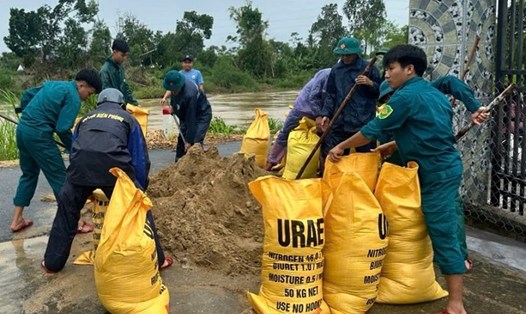 Ban chỉ huy quân sự phường Trà Câu, tỉnh Quảng Ngãi huy động lực lượng đắp đê ngăn mặn, phòng chống bão số 12. Ảnh: Quốc Lê