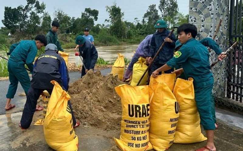 El Comando Militar del barrio de Tra Cau provincia de Quang Ngai moviliza fuerzas para construir diques de contencion de la salinidad y prevencion de la tormenta numero 12. Foto: Quoc Le