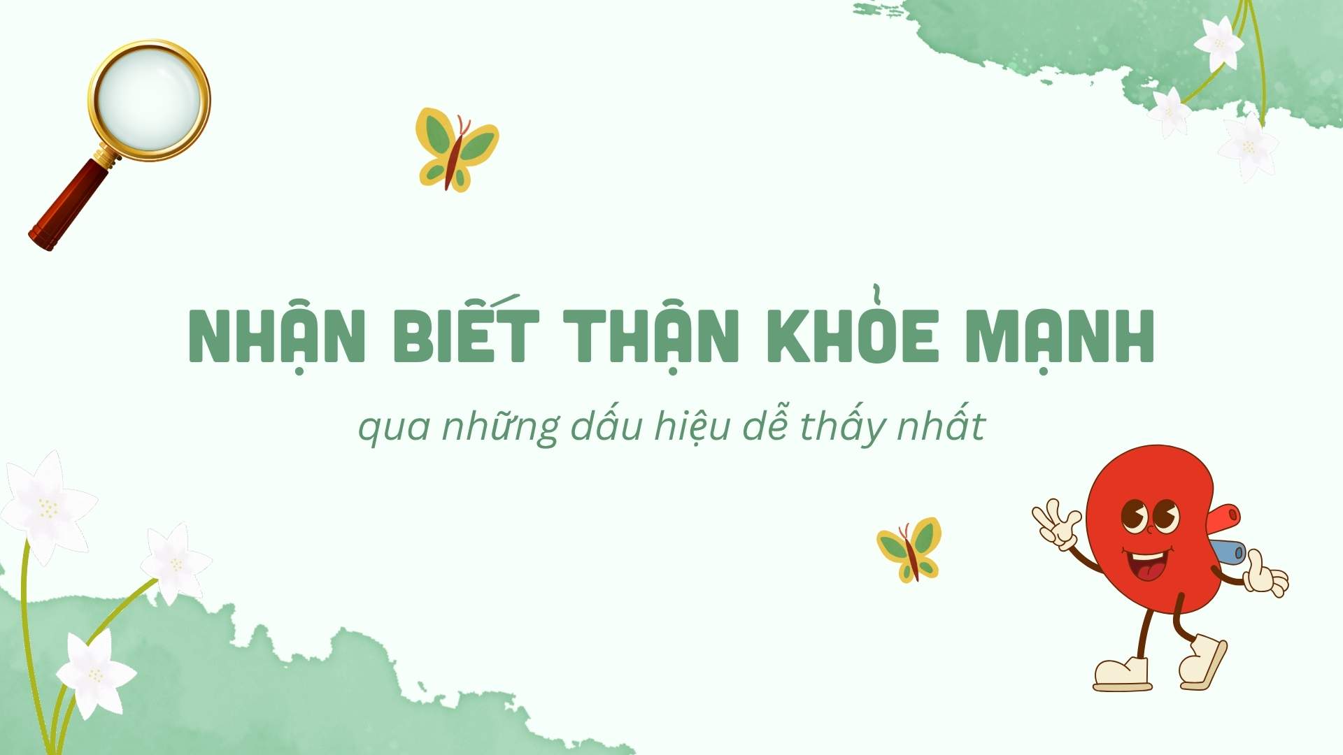 Recognize healthy kidneys through the most obvious signs