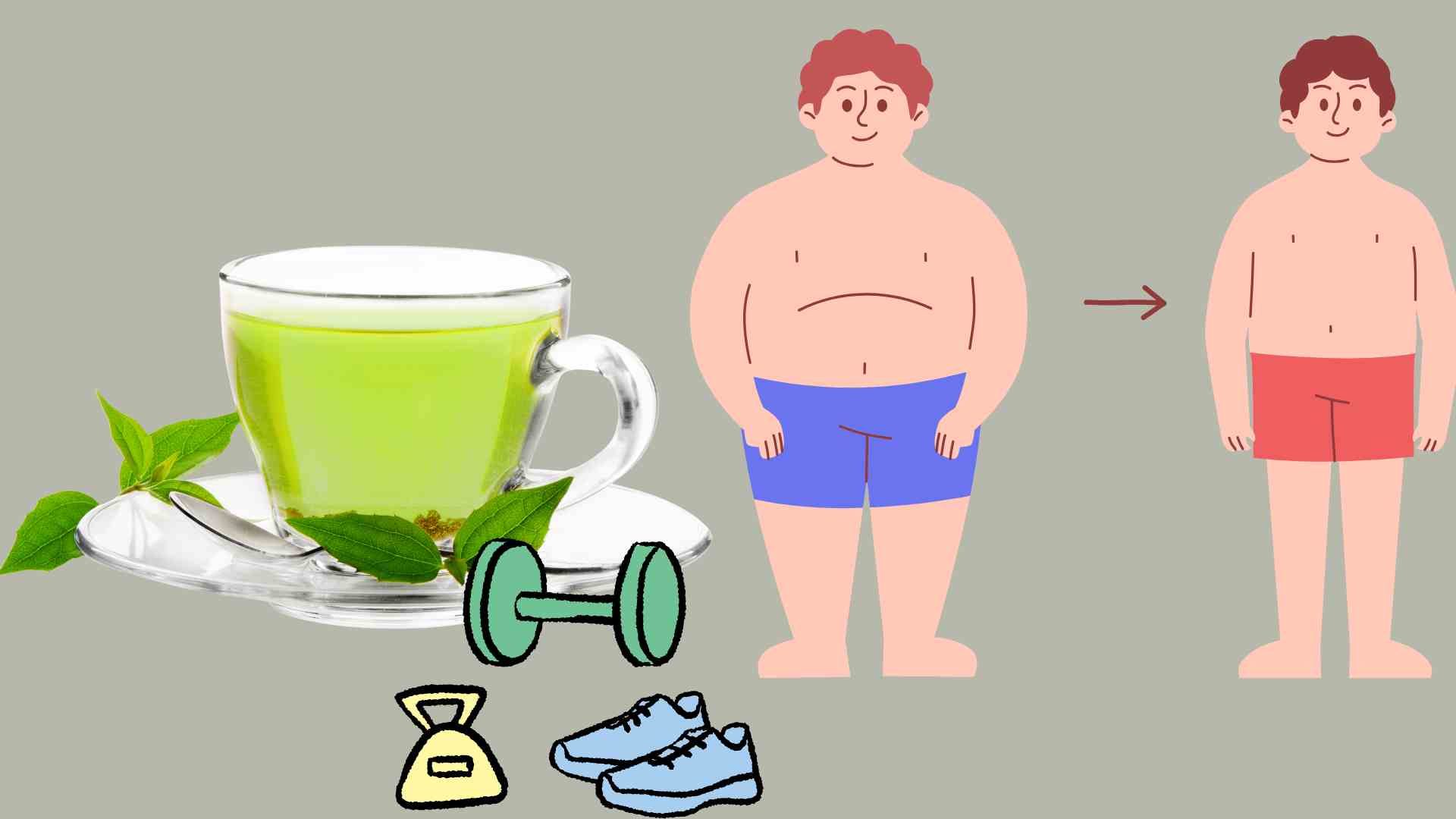 Drinking green tea properly is good for burning visceral fat. Graphics: Ha May