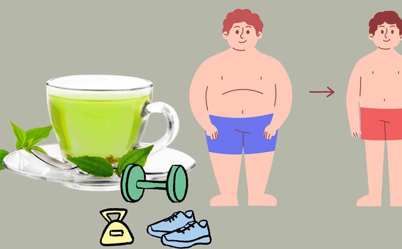 Drinking green tea properly is good for burning visceral fat. Graphics: Ha May