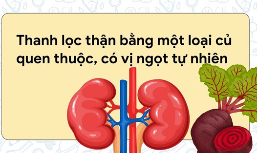 Thanh lọc thận với củ dền rất tốt cho sức khoẻ. Ảnh đồ hoạ: Hương Sơn