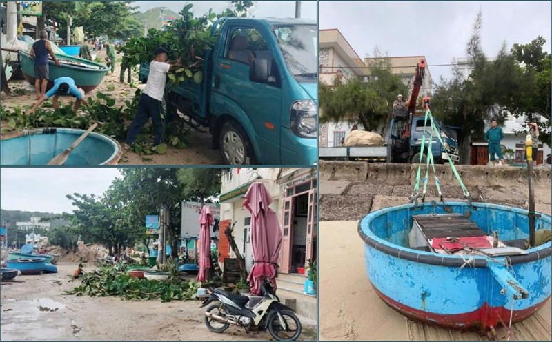 El gobierno local y la gente de Gia Lai cortan arboles verdes trasladan botes pesqueros a lugares seguros. Foto: Hoai Phuong