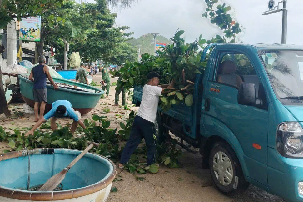 Chinh quyen cat tia cay xanh chong bao. Anh: Hoai Phuong