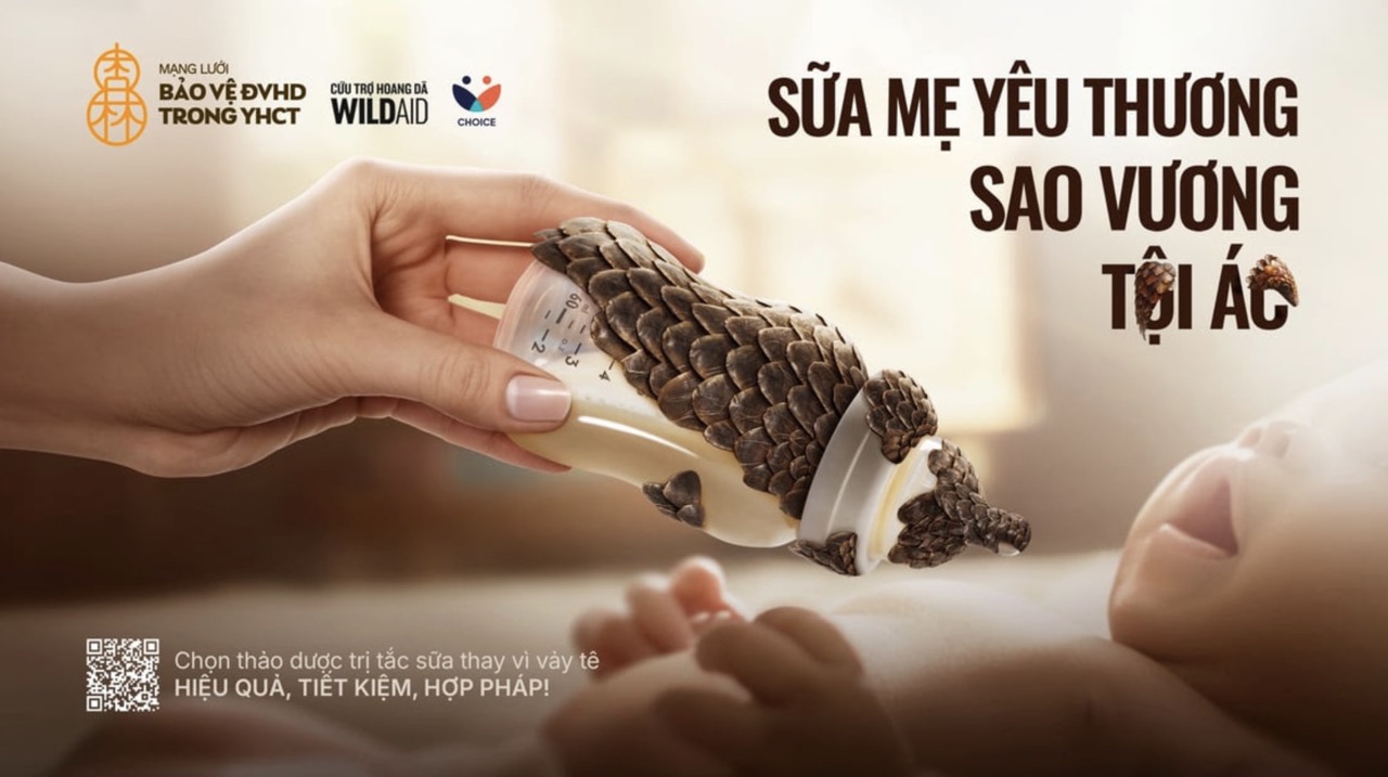 Thong diep tu chien dich keu goi cong dong cham dut dung vay te te tri tac tia sua, khuyen khich giai phap thay the an toan, hop phap, nhan van. Anh: Choice cung cap