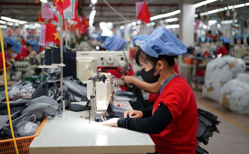 Muchas oportunidades de empleo esperan a estudiantes y trabajadores en el Dia del Empleo de Da Nang 2025. Foto: Nguyen Long