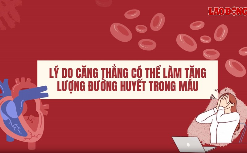 The reason why stress can increase blood sugar levels. Graphics: Ngan Ha