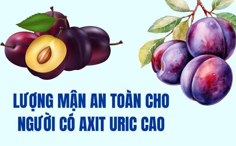 Tips for safe plum intake for people with high uric acid