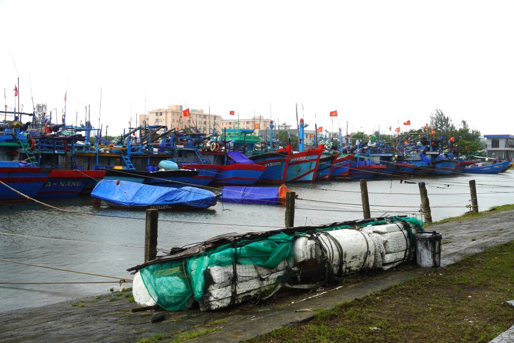 Boats in Da Nang anchored and tie up before storm No. 12 made landfall. Photo: Tran Thi
