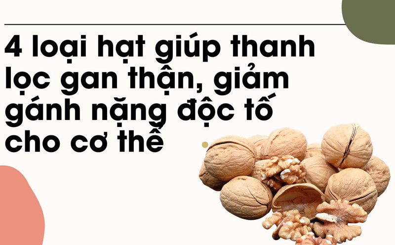 Walnuts help purify the liver and kidneys effectively. Graphic photo: Huong Son