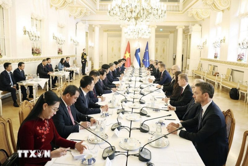 General Secretary To Lam and President of the Republic of Finland Alexander Stubb hold talks. Photo: VNA