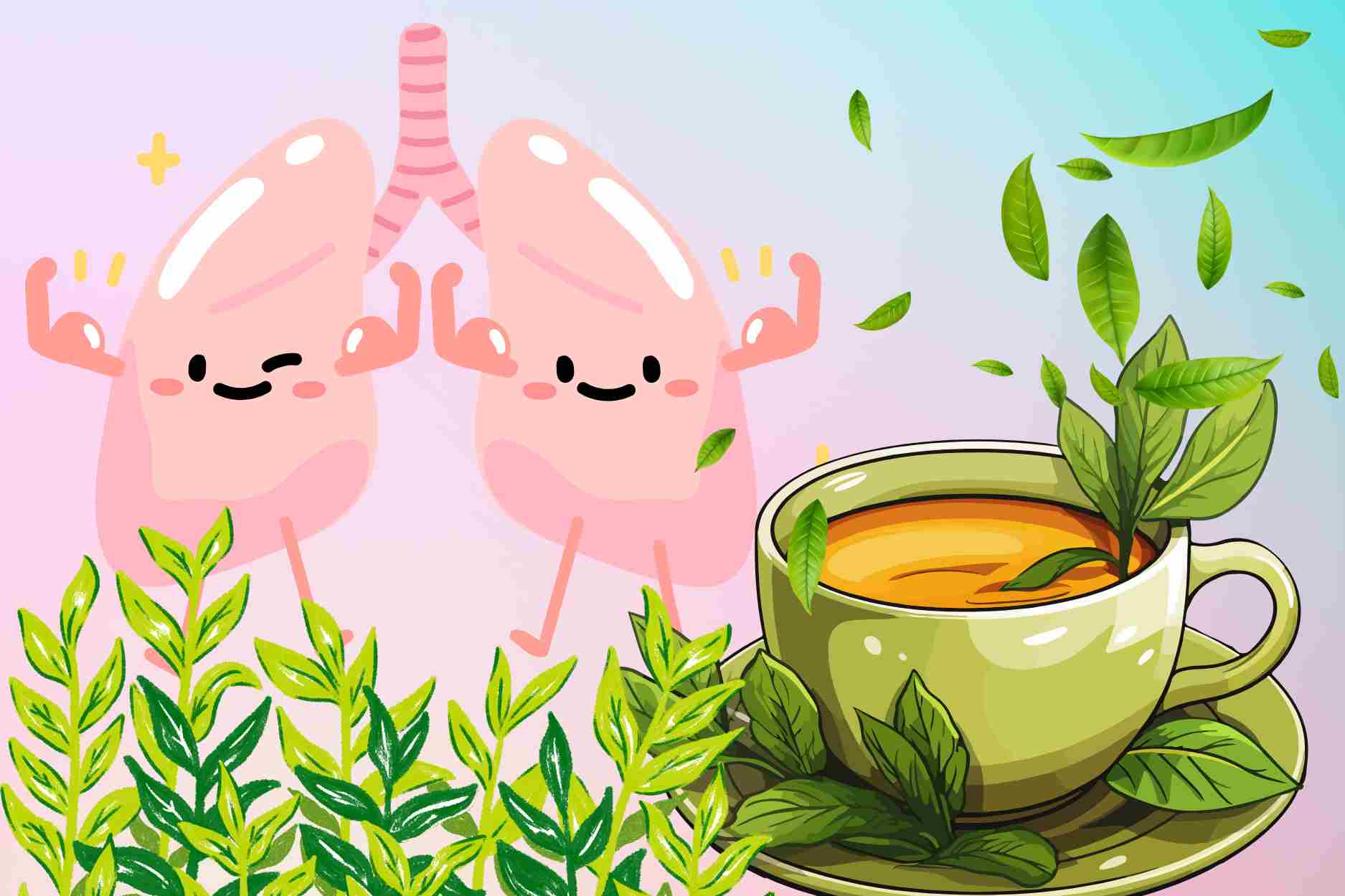 3 natural drinks to help clean the lungs, increase resistance during the changing seasons