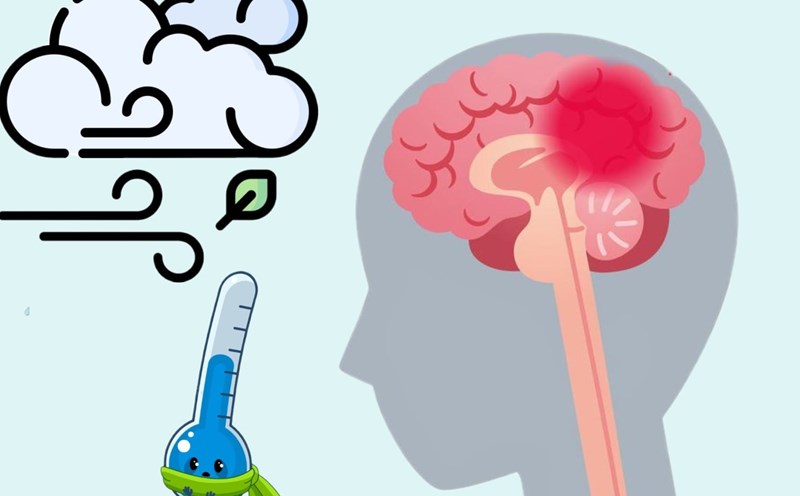 Stroke 'hiding' when the weather suddenly turns cold. Graphics: Phuong Thao