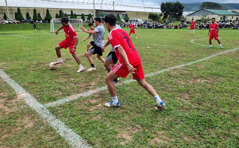 The Trade Union of Dalat Hasfarm Company Limited organized a football tournament to celebrate the Trade Union Congress for the 2025-2030 term and celebrate Vietnamese Women's Day. Photo: Duc Lam