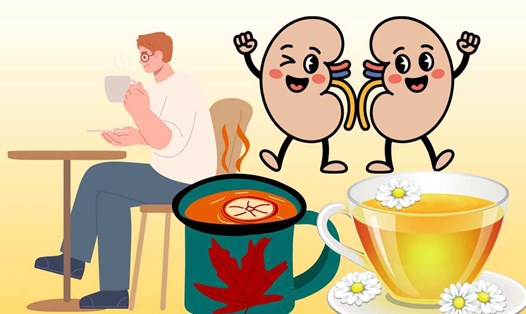 Mách bạn 2 loại trà dễ uống, dễ làm giúp bảo vệ sức khỏe thận hiệu quả