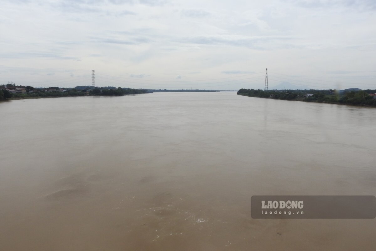 In early October 2025, the Red River section passing through Lao Cai and Phu Tho provinces had major floods. Photo: To Cong.