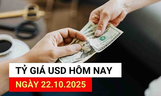 Tỷ giá USD hôm nay 22.10.2025.
