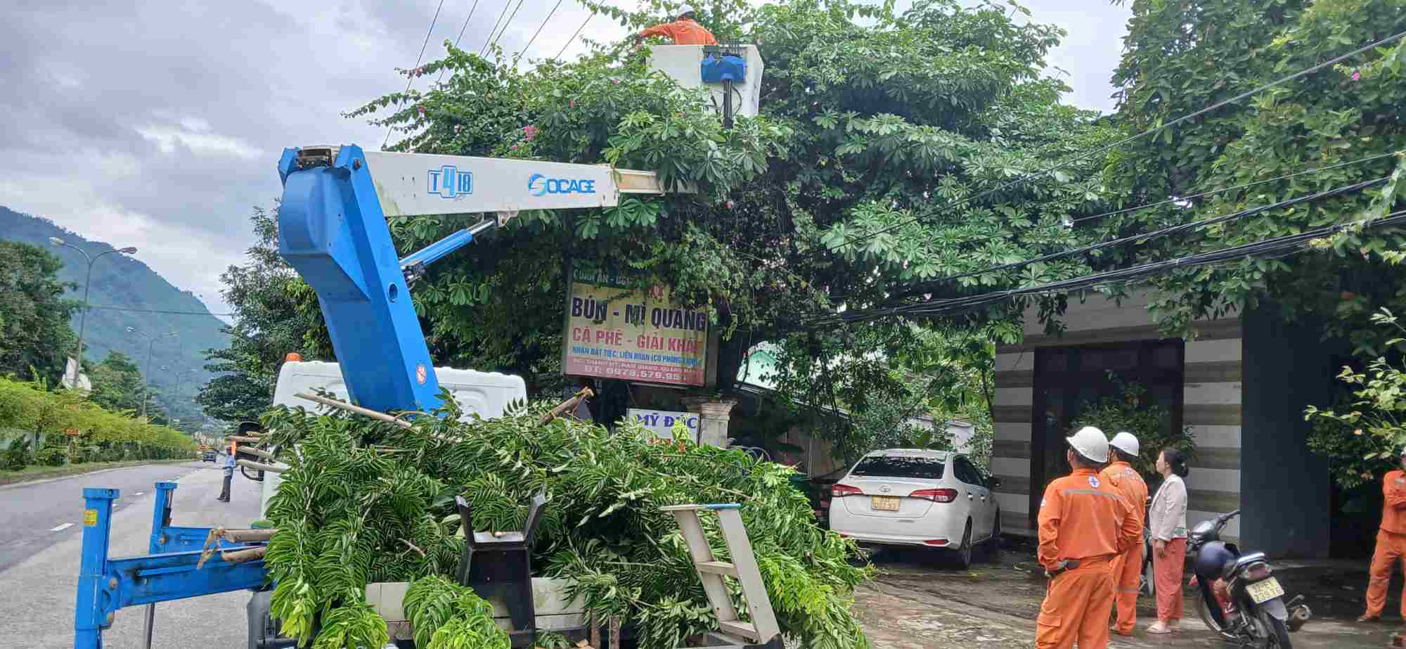 Dien luc khu vuc xa Thanh My, Da Nang tien hanh cat cay, tia canh truoc bao so 12. Anh: Nguyen Thanh