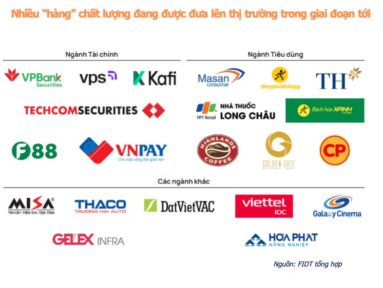 FIDT said that there are about 20 enterprises ready to IPO from now until 2027. Source: FIDT