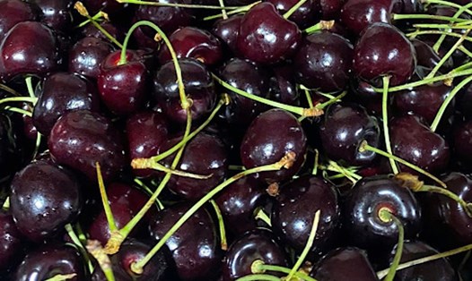 Salad anh đào có thể hỗ trợ giảm axit uric. Ảnh: Quang Minh.