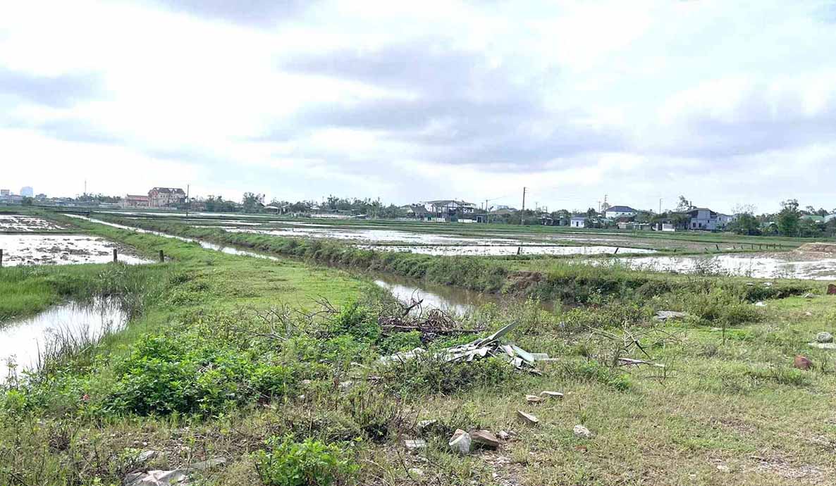 The land proposed by MST to implement the Phuong Hoang General Hospital project is located on the Vinh - Cua Lo Boulevard axis. Photo: Van Dung