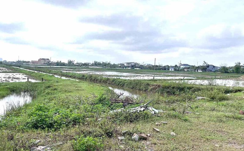 The land proposed by MST to implement the Phuong Hoang General Hospital project is located on the Vinh - Cua Lo Boulevard axis. Photo: Van Dung