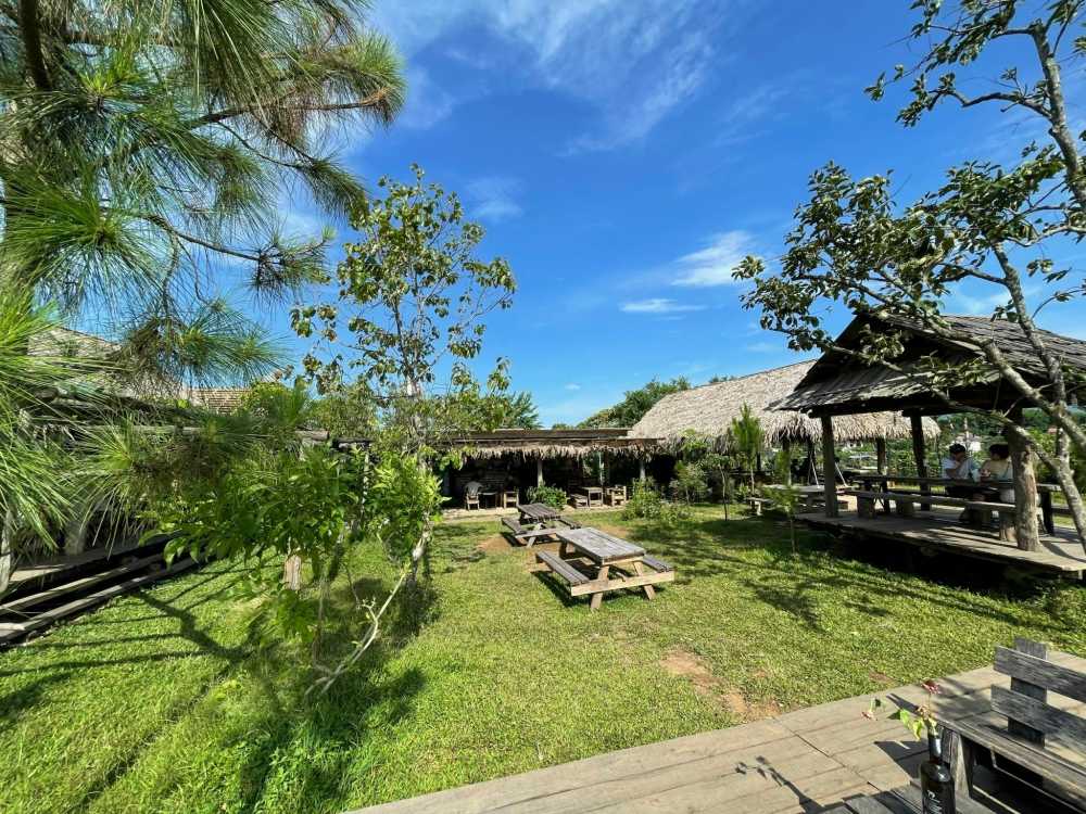 Khong gian xanh mat, khoang dat o East Hill.