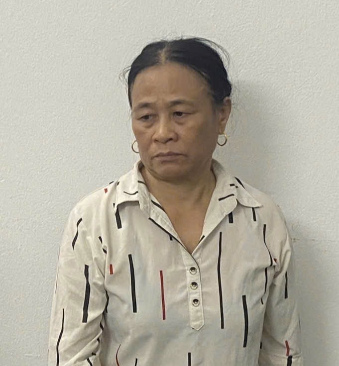 Đối tượng Nguyễn Thị Oanh đã lôi kéo nhiều người làm đơn tố cáo, khiếu nại không đúng quy định. Ảnh: Nguyễn Trường