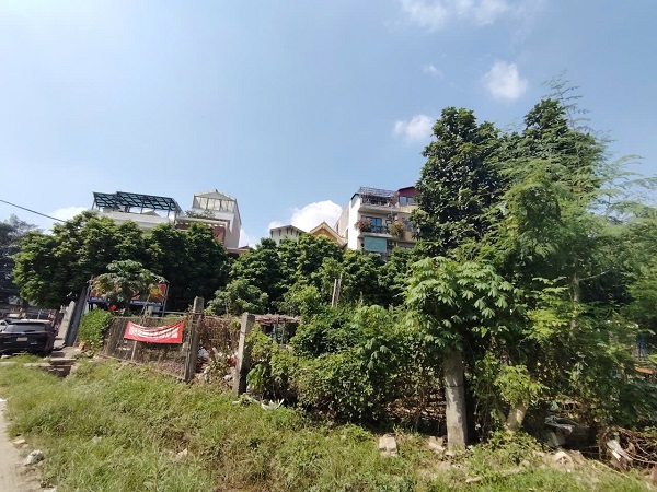 多くの人が赤本に署名する権限に関する規制に関心を持っています。写真：シュエン・ドン