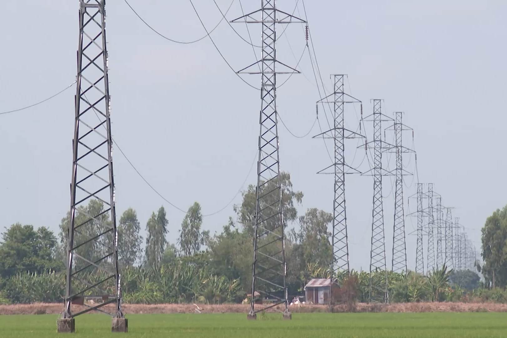 Over 40 billion VND to relocate 6 220kV power poles that hinder the progress of the expressway in Can Tho