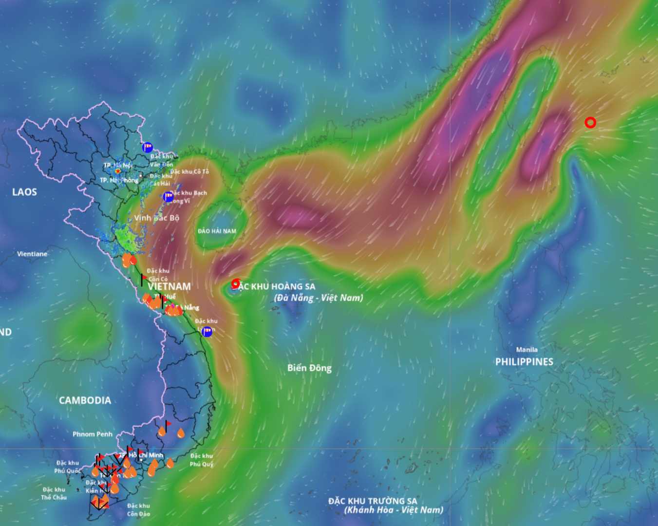 東海では暴風雨12号が活動しており、新たな熱帯低気圧が突入を準備している。出典: ベトナム自然災害監視システム