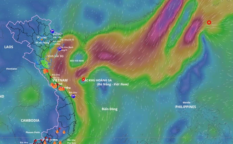 Storm No. 12 is active in the East Sea, a new tropical depression is preparing to enter. Source: Vietnam Disaster Monitoring System