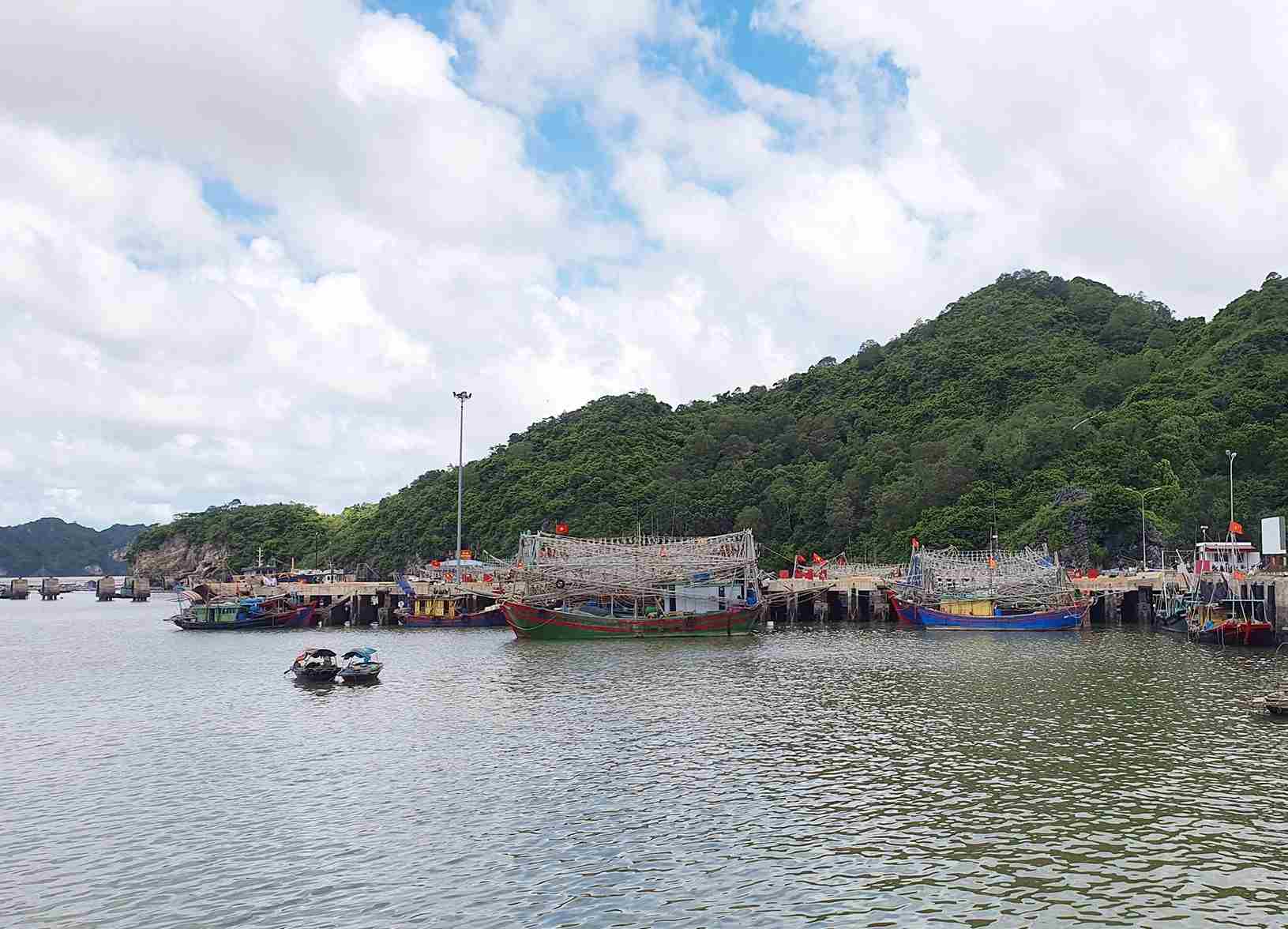 Khu vực cảng cá Trân Châu, đặc khu Cát Hải, Hải Phòng. Ảnh: Phan Anh