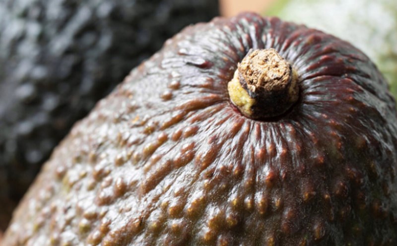 Why does butter turn brown? Photo: Thuy Duong
