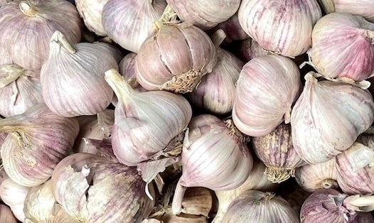Ăn tỏi buổi sáng giúp tăng sức đề kháng và ổn định huyết áp. Ảnh: Kiều Vũ