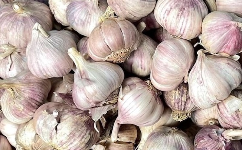 Eating garlic in the morning helps increase resistance and stabilize blood pressure. Photo: Kieu Vu