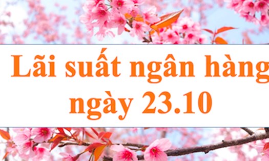 Ảnh: Hà Vy