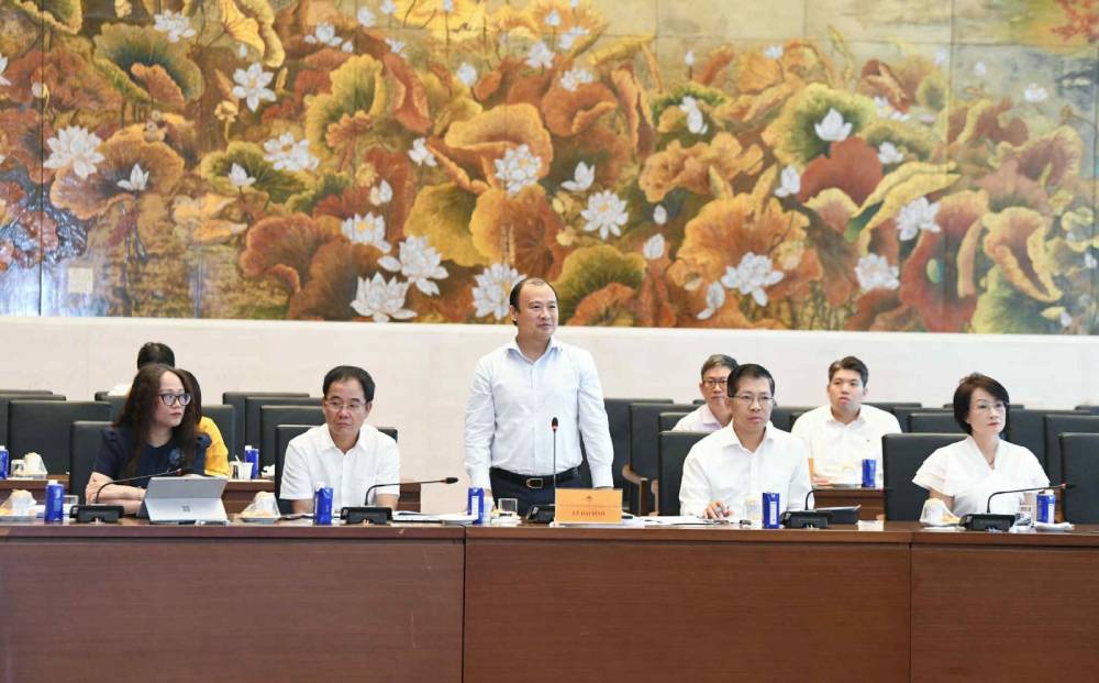 Thu truong Thuong truc Bo Van hoa, The thao va Du lich Le Hai Binh bao cao tai phien tham tra mo rong cua Uy ban Van hoa va Xa hoi cua Quoc hoi. Anh: Quoc hoi