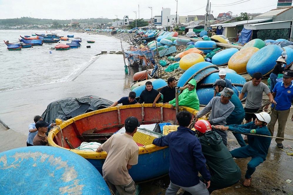 Fishermen in Van Tuong commune, Quang Ngai province brought their basket boats to the embankment to avoid damage caused by floods. Photo: Vien Nguyen