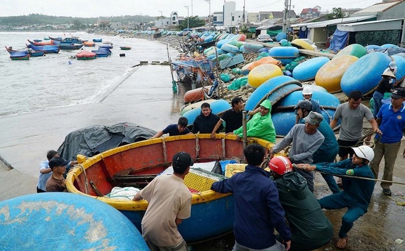 Fishermen in Van Tuong commune, Quang Ngai province brought their basket boats to the embankment to avoid damage caused by floods. Photo: Vien Nguyen