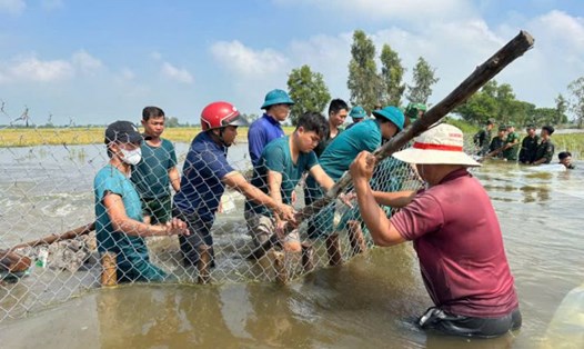 Lực lượng chức năng phối hợp với người dân gia cố, bảo vệ, khắc phục sự cố vỡ đê. Ảnh: Duy Minh