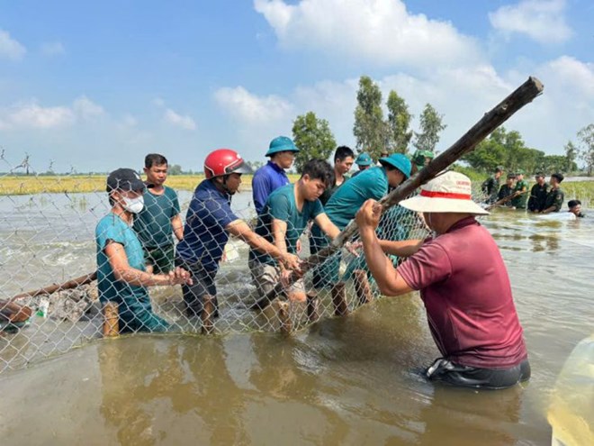 Lũ vùng Đồng Tháp Mười lên nhanh, Tây Ninh ứng trực toàn lực