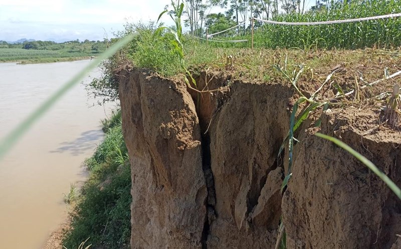 serious landslide on the Chu River bank, Thanh Hoa. Photo: Minh Hoang